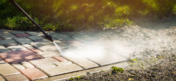Best Animal Enclosure Cleaning  in Meadowlakes, TX